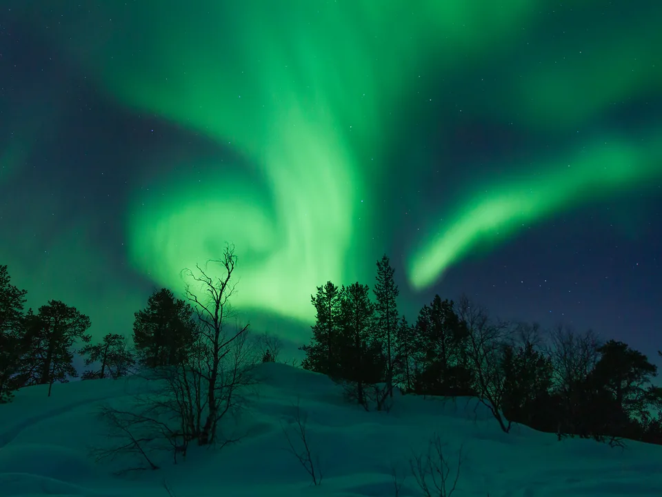 An aurora swirling in green bands above snow and dark pines at Vuopajanniemi, by Lake Inari, in March