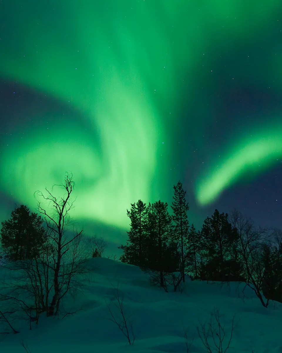 An aurora swirling in green bands above snow and dark pines at Vuopajanniemi, by Lake Inari, in March