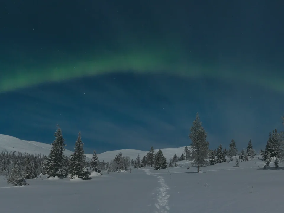 A green aurora arch across a moonlit blue sky above snow-covered fells, frosted spruces and a single line of footprints in deep snow
