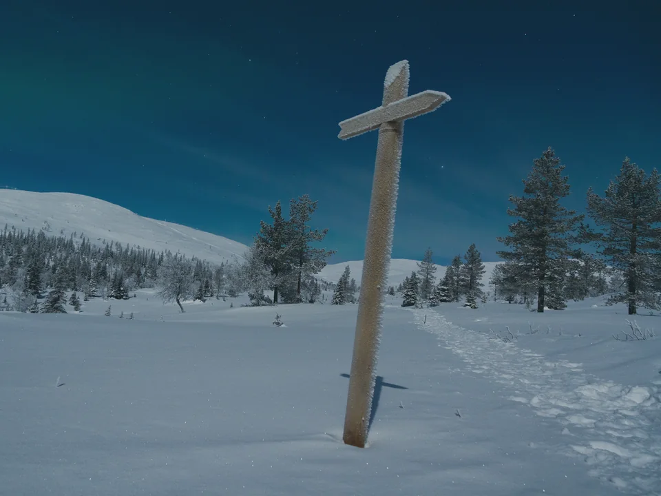 A wooden trail marker standing in deep snow under a teal moonlit sky, with a low fell and snow-laden pines behind it