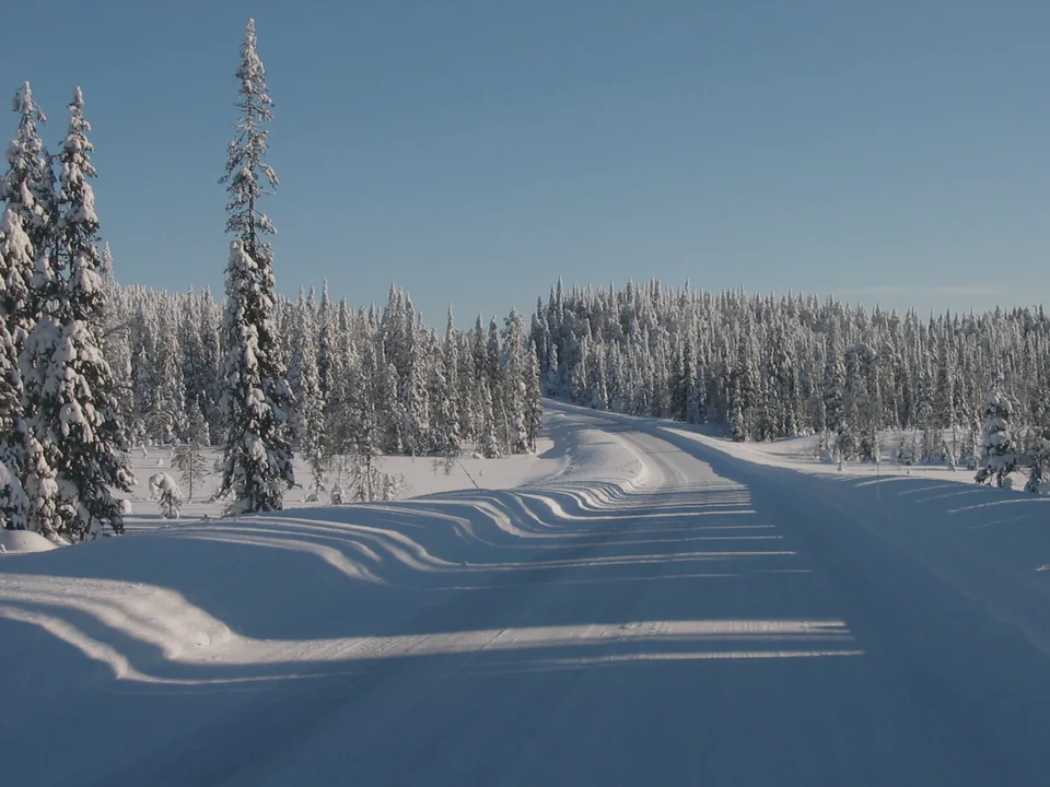 A snow-covered rural road running through a forest of heavily snow-laden spruce trees under a clear blue sky, in Ranua.