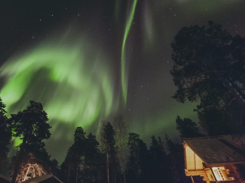Green aurora arching over two illuminated log cabins in Nellim village, with tall pines silhouetted against the sky.