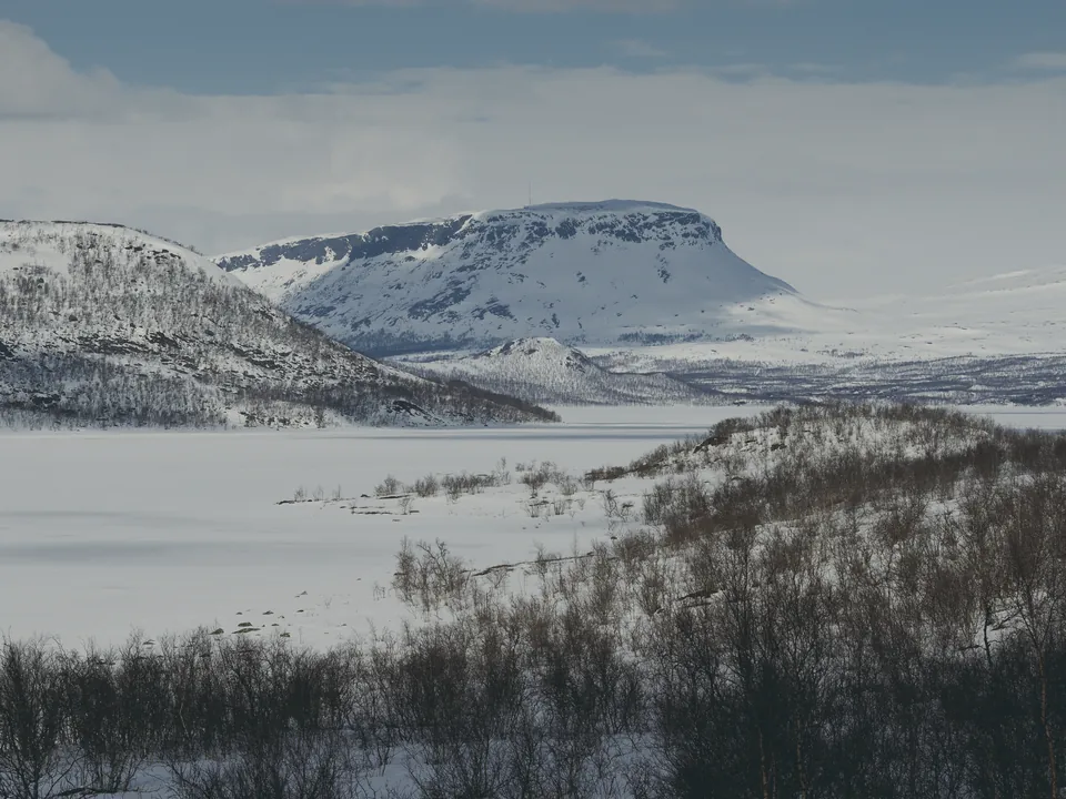 A flat-topped fell rising over a frozen, snow-covered lake under a pale blue sky, with bare birches in the foreground.