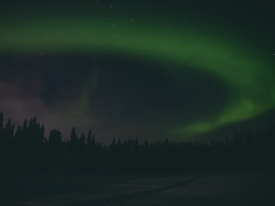 A wide green aurora arc over a dark silhouette of snow-laden forest, with a faint purple glow near the horizon