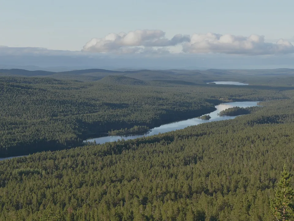 A wide forested valley in evening light, a river winding through dense green taiga to the horizon.