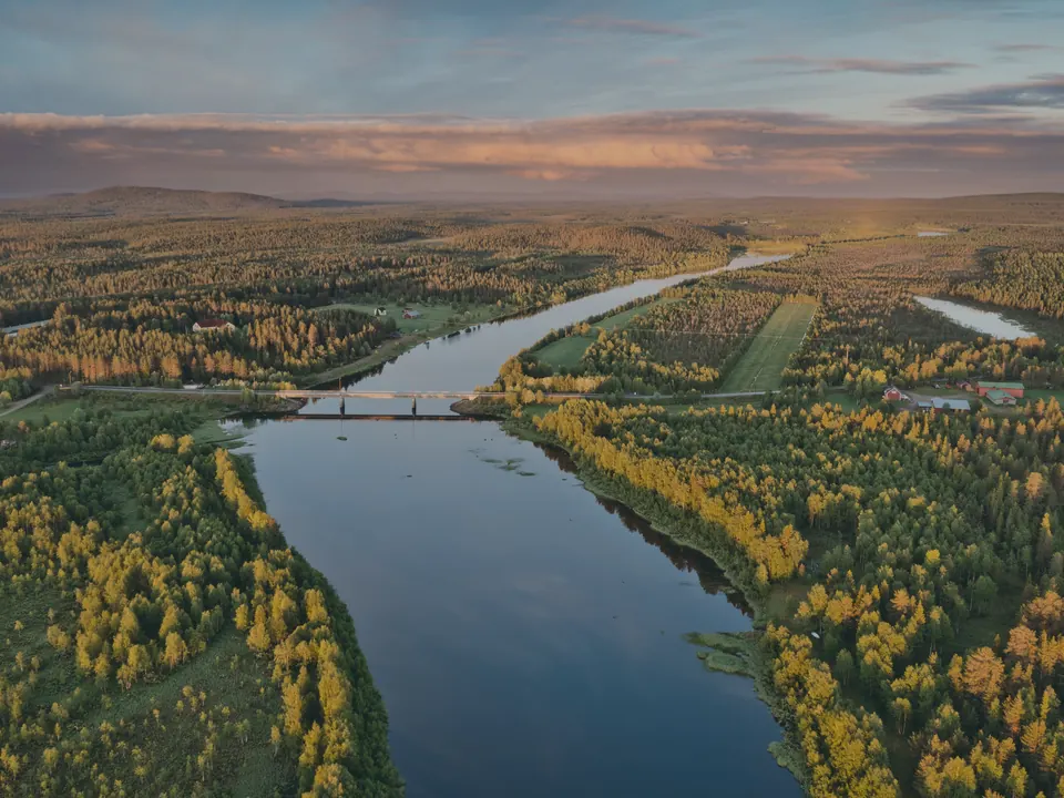 The Luiro river winding through green birch and pine forest under low golden evening light, with a road bridge crossing it