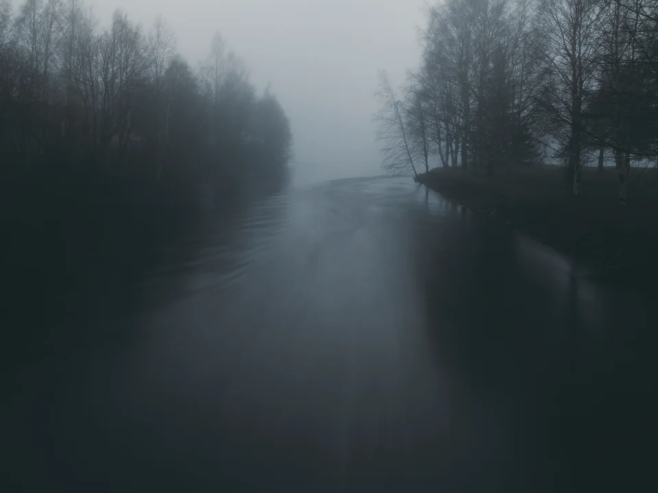 A wide river at night, swollen and smooth, flowing between two lines of bare birches into fog.