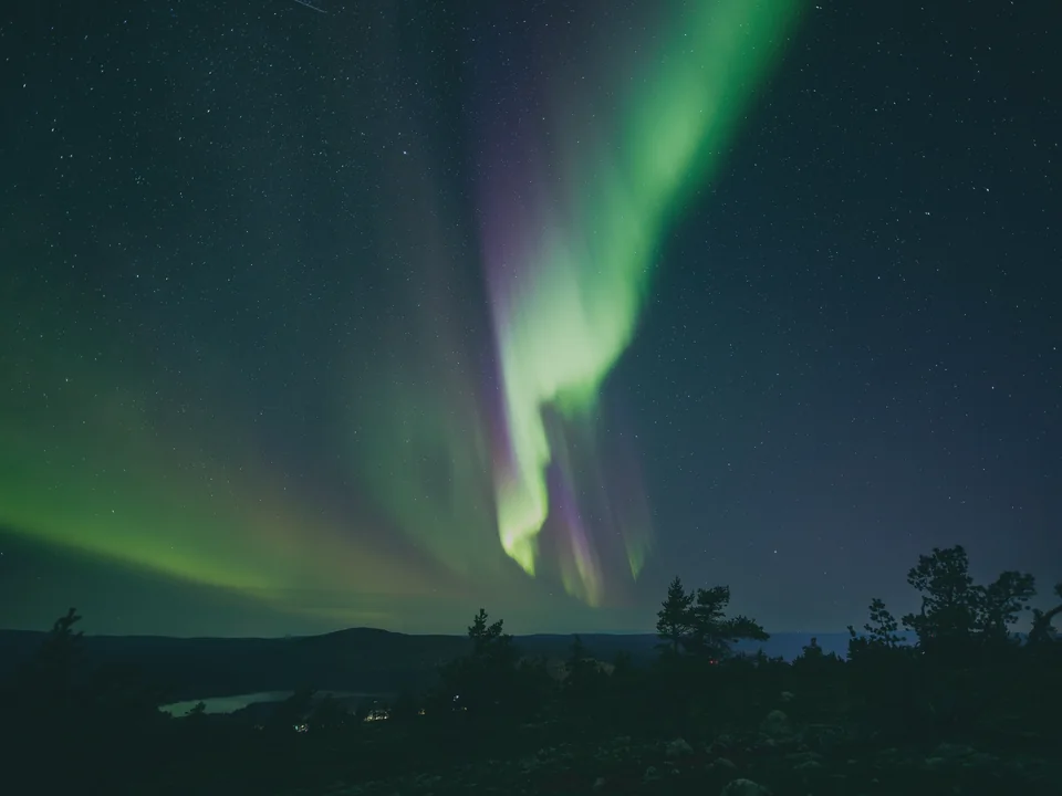A bright green aurora curtain arcing over a dark fell landscape with silhouetted pine trees, seen from a hilltop near Levi