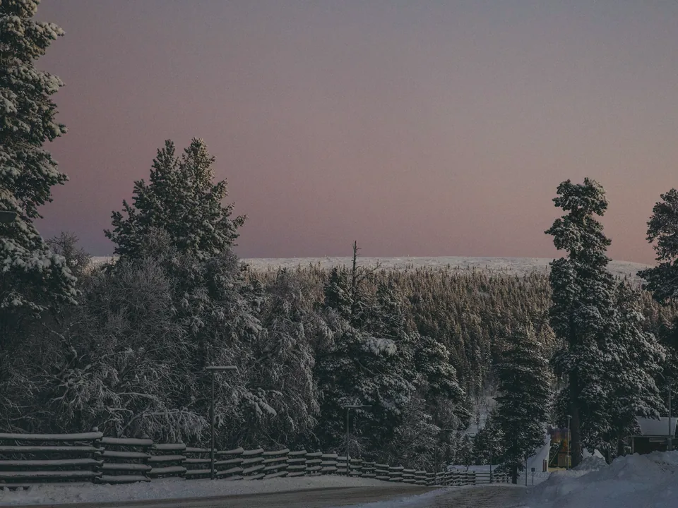 Snow-laden pine trees along a village road at dusk in Saariselkä, with a fell ridge and a pink and violet sky behind
